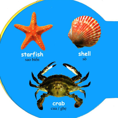 Từ Điển Anh - Việt Bằng Hình: Sea Animals - Động Vật Biển