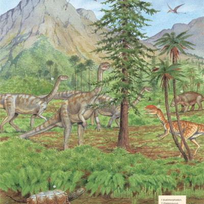 Bách Khoa Khủng Long Toàn Tập - Bìa Cứng