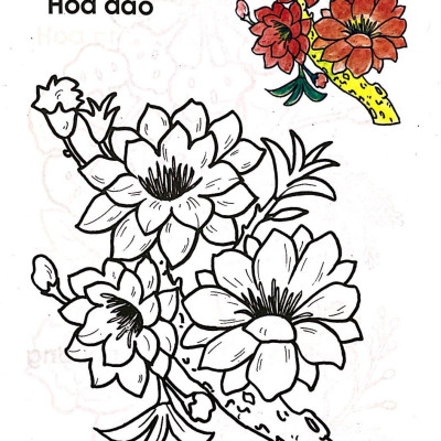 Tập Tô Màu Các Loại Hoa
