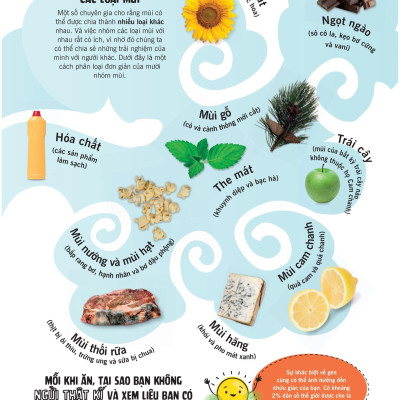 Khoa Học Ăn Được Không?