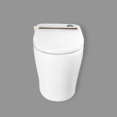 Bồn cầu két nước âm có vòi xịt rửa vệ sinh cao cấp Hiwin MT-240 665*390*510mm