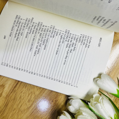 Đại Cương Thiền Quán -Tuệ Sỹ