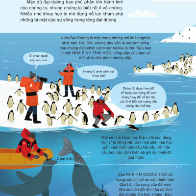 Sách - Hiểu Về Nghề Nghiệp - Các Nhà Khoa Học Làm Gì? - Bìa Cứng