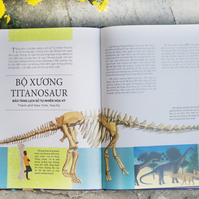 Bách khoa tri thức về các kỳ quan thế giới - Combo 2 tập Đinh Tị Books