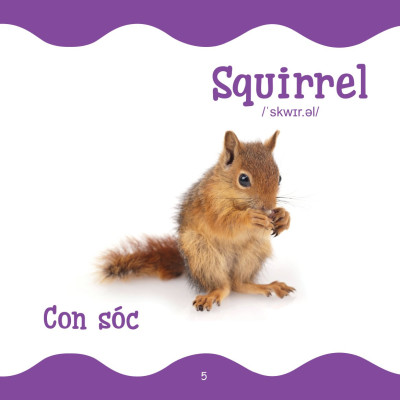 Cùng Con Trưởng Thành - Từ Điển Bằng Hình Cho Trẻ Mầm Non - Động Vật Hoang Dã _DTI