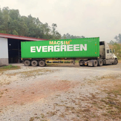 Thảm lót sàn 1 lớp sd3 cho xe MG G50- Nhãn hiệu Macsim