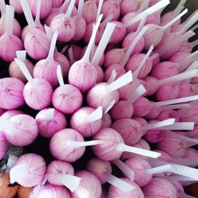 10 chai Nhuộm Hoa tươi dạng nước (Chai 1L x 10 Màu) Công Nghệ Israel giúp hoa nhuộm đổi màu theo ý muốn nhuộm trên 250 cành hoa x 1 chai