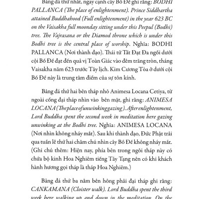 Hạt Nắng Bồ Đề