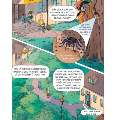 24 Giờ Trong Rừng Nhiệt Đới