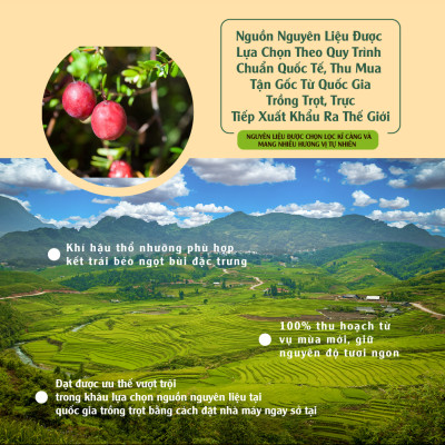 Nam Việt Quất Canada 350g Dan D Pak