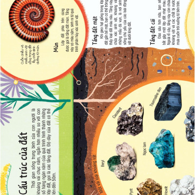 Under Your Feet - Dưới Đôi Bàn Chân Bạn - Đất, Cát Và Ti Tỉ Thứ Dưới Lòng Đất