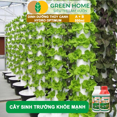 Dung Dịch Thủy Canh Hydro Optimum, GreenHome, Bộ 2 chai 500ml, Dinh Dưỡng Thủy Canh Rau Ăn Lá, Hữu Cơ