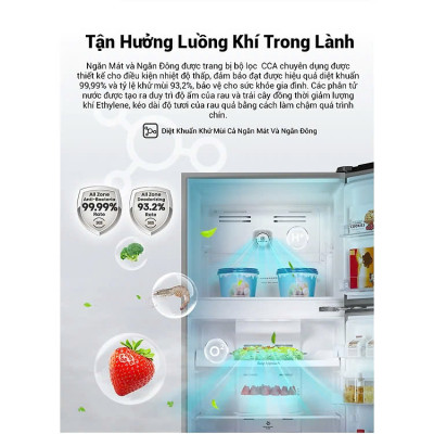Tủ Lạnh Hisense Inverter Pro 424L RT549N4EW-MBU Tiết Kiệm Điện Năng, Diệt Khuẩn Khử Mùi, Bảo Hành 3 Năm - Hàng Chính Hãng