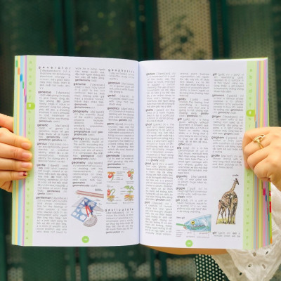 Sách từ điển anh việt - mình hoạ hình ảnh