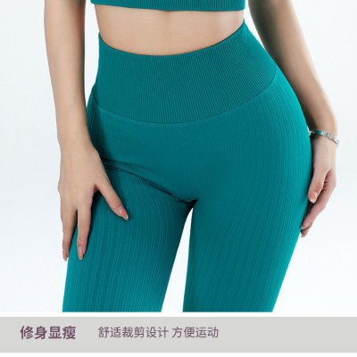 Đồ Tập Yoga Gym Nữ Dệt Kim Có Đệm Chống Sốc Ngực