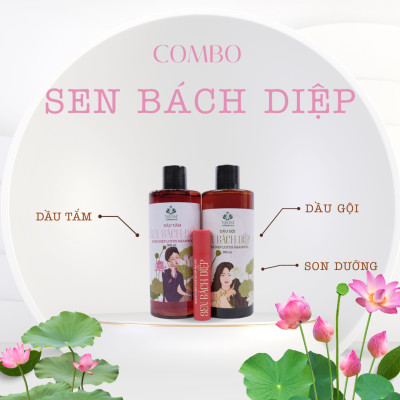Combo Hương Sen Bách Diệp 
