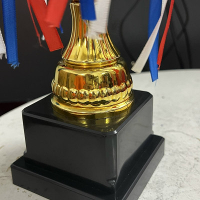Cúp thể thao A238 , cúp vô địch cao 34cm bằng nhựa cứng kèm dây tua rua đẹp mắt, cúp trao giải giá rẻ