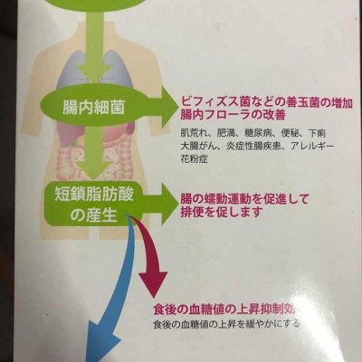 Bột Chất xơ Isokoma japan (180g)