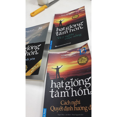 Hạt Giống Tâm Hồn 16 - Tìm Lại Bình Yên