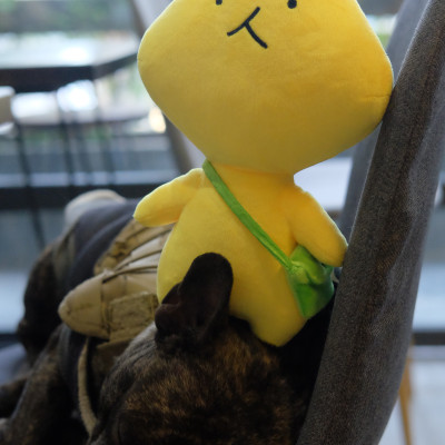 Thú nhồi bông Chuyện tào lao của Vàng Vàng - nhân vật Vàng Vàng