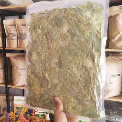 Lá Dung Shop Thảo Dược Gói 250G hút chân không- Dùng trà Lá Dung tốt Cho Người Đau Dạ Dày, thích hợp dùng sau bữa ăn, giúp dễ tiêu hóa