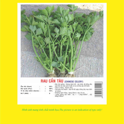 Hạt giống Cần tàu giống sinh trưởng khỏe nảy mầm tốt VTP30