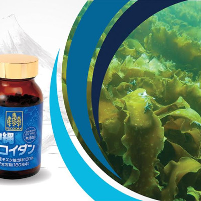Combo 2 Hộp Okinawa Fucoidan Kanehide Bio Của Nhật Bản (180 Viên x2) Phòng Và Hỗ Trợ Ức Chế Tăng Trưởng Tế Bào Ung Thư, Tăng Cường Hệ Miễn Dịch Cho Cơ Thể, Kéo Dài Tuổi Thọ