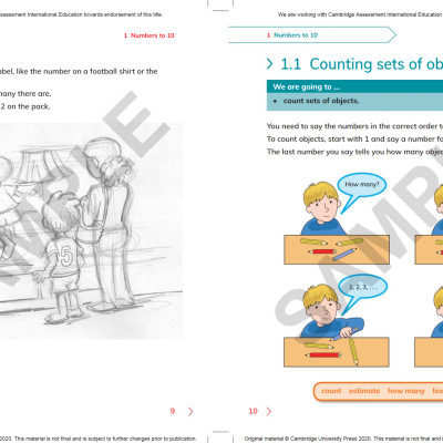 Cambridge Primary Mathematics Learner