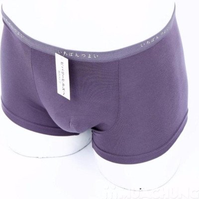 Bộ 5 Quần Lót Nam Đùi Xuất Nhật Chất Mát (Màu Ngẫu Nghiên)