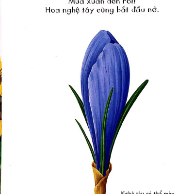 Những Khám Phá Đầu Tiên Của Tớ: Hoa