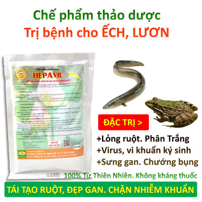 VƯỜN SINH THÁI - Thảo dược hepavil đặc trị phân trắng, rỗng ruột, vàng mang sưng gan trên Tôm Cá Ếch Lươn - Hiệu quả ngay sau 5-7 ngày - 100% Thiên Nhiên