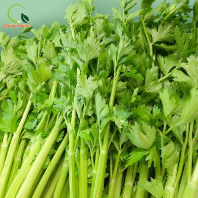 [CHÍNH HÃNG] Bột Cần Tây Sấy Lạnh Nguyên Chất Quảng Thanh Hộp 45gr - Hỗ trợ giảm cân, giảm mỡ bụng, giảm mụn, giảm gút