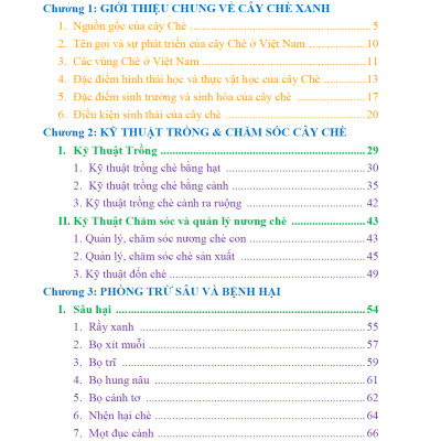 Bí Quyết Thành Công Kĩ Thuật Trồng Trà Xanh Hiệu Quả - KV