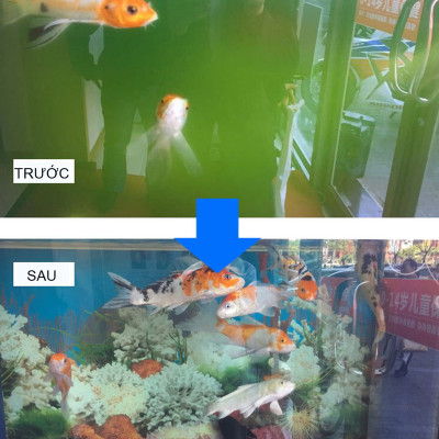 Đèn UV 75W AQUA SUV+ Diệt Khuẩn, Rêu Tảo Hồ Cá Koi , Xử Lý Nước Thải, Nước Sinh Hoạt Trong 7 Ngày