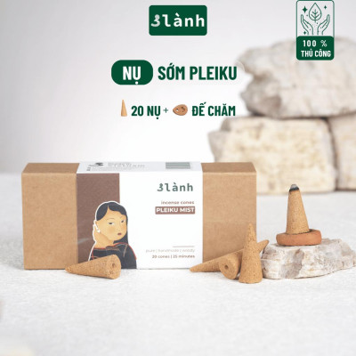 Nụ Thủ Công Sớm Pleiku 3 Lành Hộp 20 Nụ 100 % Tự Nhiên Tặng Kèm Đế Chăm, Không Hóa Chất, Xông Thơm