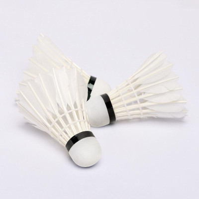 Hộp 12 quả cầu lông hộp xanh