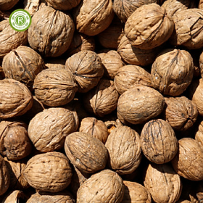 Nhân Hạt Óc Chó Đỏ Real Food Làm Sữa, Làm Snack Giàu Omega-3, Tốt Cho Tim & Não (500g)