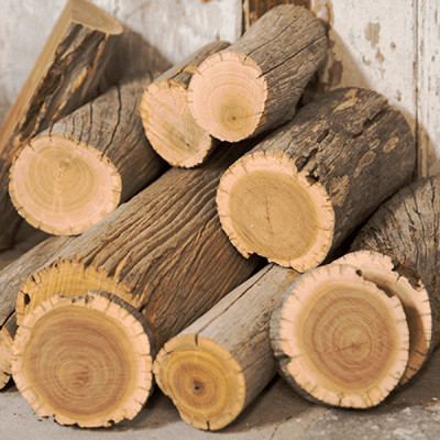 Tinh dầu Gỗ Thông nguyên chất từ thiên nhiên, xông phòng, khử mùi, thơm phòng, đuổi muỗi - KingOil