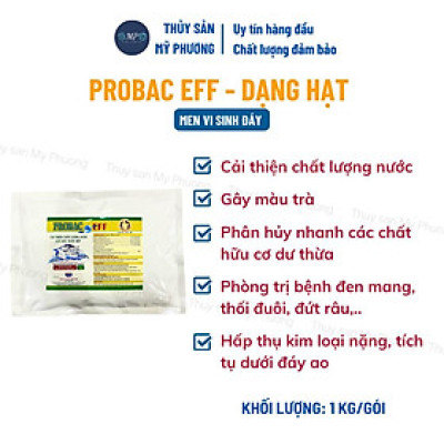 Men vi sinh hạt xử lý đáy thối nước dơ khí độc nước đục diệt rong Probac gây màu tảo khuê trà tôm thẻ cá lươn ếch ốcbaba