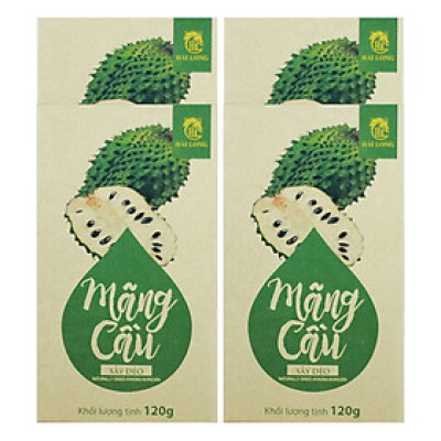 Combo 4 Hộp Mãng Cầu Sấy Dẻo Hải Long (120g / Hộp)