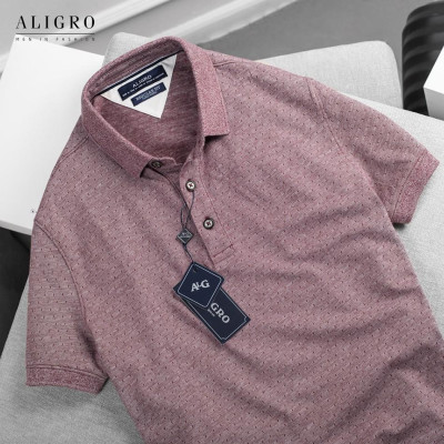 Áo thun nam cộc tay trơn màu bã trầu aligro ALGPLO45