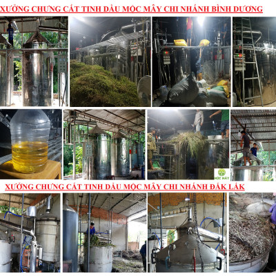 Tinh dầu hoa Lài (nhài) 50ml Mộc Mây - nguyên chất 100% từ thiên nhiên - chất lượng và mùi hương vượt trội