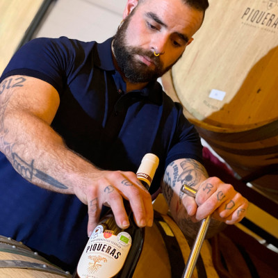 Rượu Vang Organic hữu cơ Castillo de Almansa Coleccion Garnacha Tintorera (Tây Ban Nha) kèm túi giấy,đồ khui