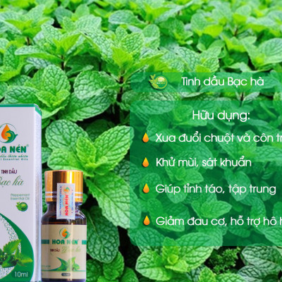 Tinh dầu Bạc hà 30ml - Hoa Nén
