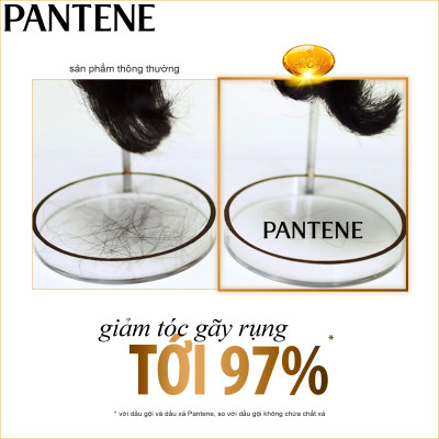 Dầu Gội Pantene Ngăn Rụng Tóc (1200ml)