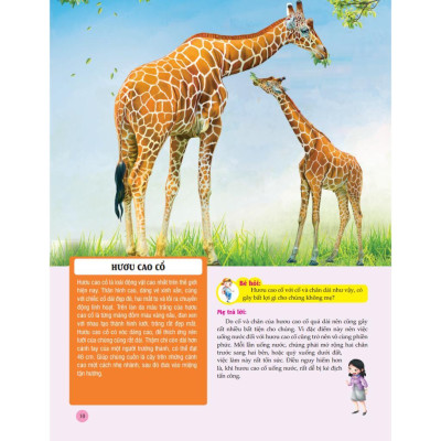 Sách - Bách Khoa Toàn Thư Tìm Hiểu Về Trái Đất - Thế Giới Động Vật - Minh Thắng