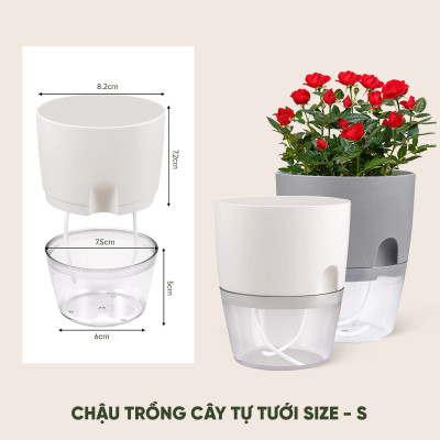 Chậu trồng cây tự tưới thông minh Monrovia, để bàn, trang trí trong nhà, bàn làm việc, sang trọng, Tiêu Chuẩn Châu Âu