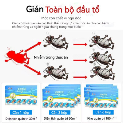 Combo 2 hộp thuốc diệt gián sinh học Housheng, diệt tận gốc tất cả các loại gián, hiệu quả, an toàn.