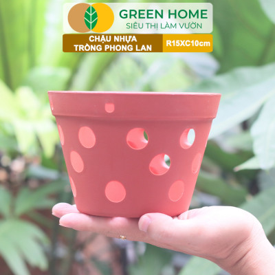 Chậu Trồng Lan Greenhome, R15xC10cm, Nhựa Màu Gốm, Bền, Đẹp, Chống Rơi Vỡ, Thoáng Rễ, Giá Thành Tốt