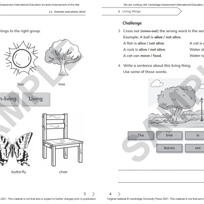 Cambridge Primary Science Workbook 1 With Digital Access (1 Year) 2nd Edition